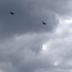 Illustration for article titled The Blue Angels Were Practicing...